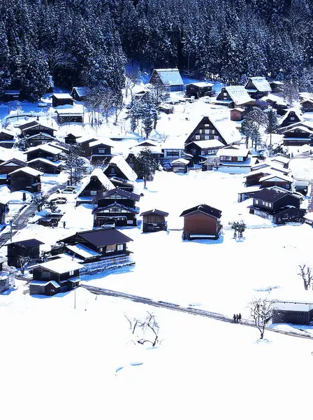 Shirakawa-go 'nun yoğun kar bölgesinin muhteşem manzarası.
