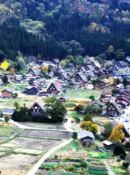Shirakawa-go 'nun yoğun kar bölgesinin muhteşem manzarası.