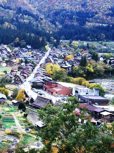 Shirakawa-go 'nun yoğun kar bölgesinin muhteşem manzarası.