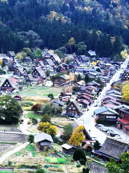 Shirakawa-go 'nun yoğun kar bölgesinin muhteşem manzarası.