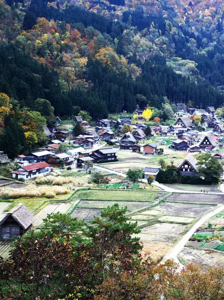 Shirakawa-go 'nun yoğun kar bölgesinin muhteşem manzarası.