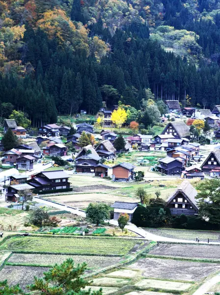 Shirakawa-go 'nun yoğun kar bölgesinin muhteşem manzarası.