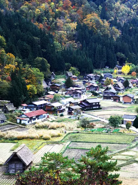 Shirakawa-go 'nun yoğun kar bölgesinin muhteşem manzarası.
