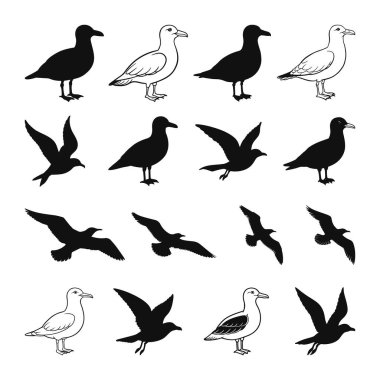 Martı Siluetleri Kuş Clipart, Martı Siluetleri ve Çizimler Çizimi