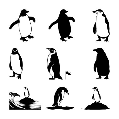 Penguen Siluetleri Seti, Penguen Çizgi Film Çizim Seti, Penguen Vektör İllüstrasyonu