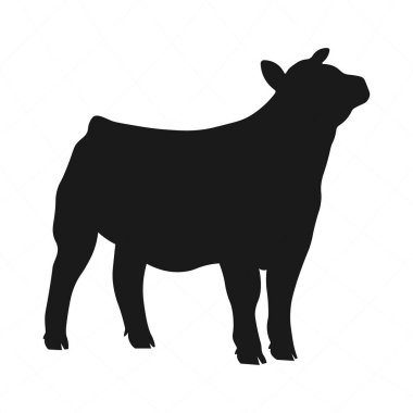 Steer Silhouette SVG 'yi, Sığır Şovu Siluetini, İnek İneği Siluetlerini Göster, Düve Vektörünü Göster, Hayvancılık