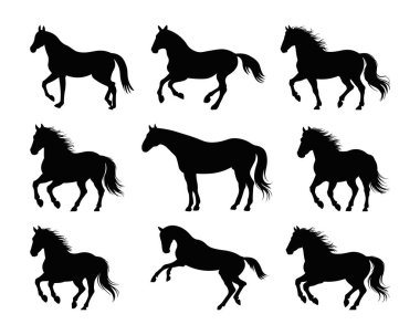 At Silueti Set, At Koşan Siluet, At Hareketi Çizimi