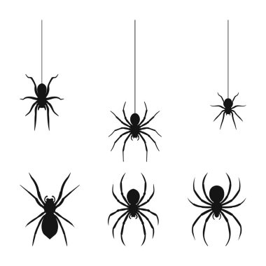 Örümcek Silueti Koleksiyonu, Cadılar Bayramı Örümcek Svg, Siyah Örümcek Silueti Beyaz Arkaplanda izole edilmiş