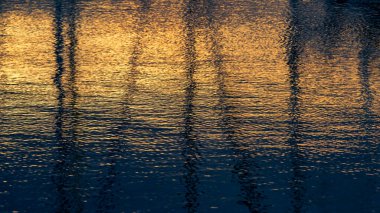 Altın güneş ışığı dalgalı su boyunca hafifçe parlar ve huzur yansımaları yaratır. Barışçıl ve doğal bir sahne, doğadaki ılık ışık ve akışkan desenler vasıtasıyla sakinliği ve sıcaklığı çağrıştırıyor..