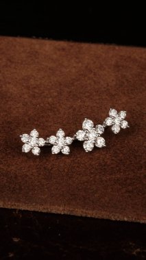 Lüks Elmas ve Altın Mücevher