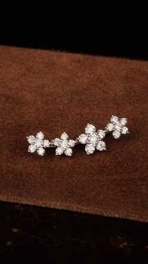 Lüks Elmas ve Altın Mücevher