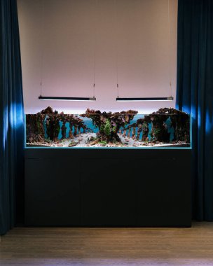 Yıldönümü Hediyeleri İçin Lüks Altın ve Elmas Mücevherler