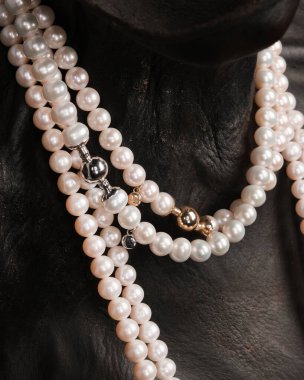 Zarif Altın ve Elmas Kolyeler