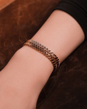 Parlak Elmas Kolyeler ve Altın Mücevherler