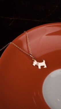 Gümüş, altın, elmas, değerli taşlar gibi şık mücevherler..