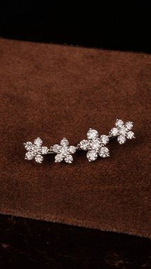 Gümüş, altın, elmas, değerli taşlar gibi şık mücevherler..