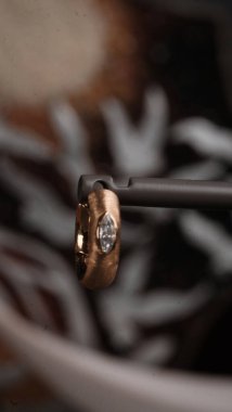 Günlük Şık Altın ve Elmas Mücevherler