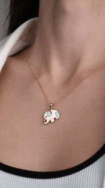 Parlak Elmaslı Görkemli Altın Mücevherler