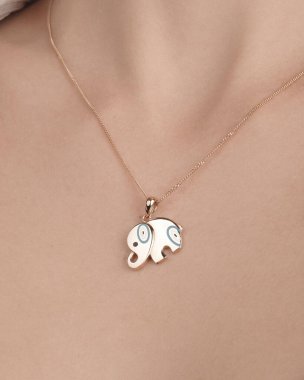 Zarif mücevherler, değerli taşlar takılmış mücevherler.. 