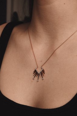 Parlak Elmas Kolyeler ve Altın Mücevherler