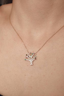 Akşam Şenliği İçin Parlayan Altın ve Elmas Mücevherler