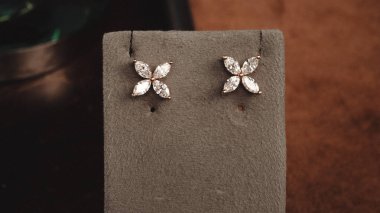 Akşam Şenliği İçin Parlayan Altın ve Elmas Mücevherler