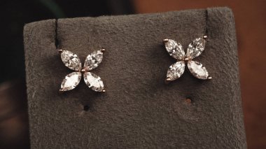 Akşam Şenliği İçin Parlayan Altın ve Elmas Mücevherler