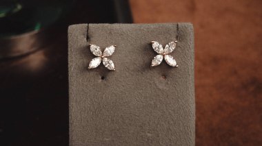 Akşam Şenliği İçin Parlayan Altın ve Elmas Mücevherler