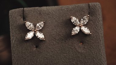 Akşam Şenliği İçin Parlayan Altın ve Elmas Mücevherler