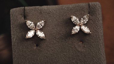 Akşam Şenliği İçin Parlayan Altın ve Elmas Mücevherler