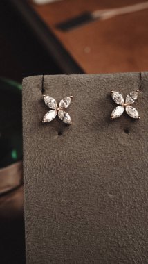 Akşam Şenliği İçin Parlayan Altın ve Elmas Mücevherler