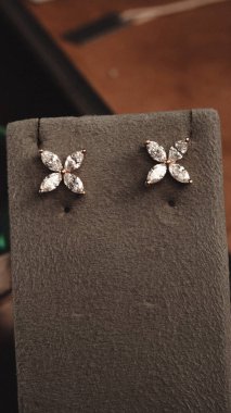 Akşam Şenliği İçin Parlayan Altın ve Elmas Mücevherler