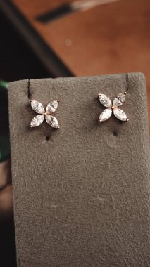 Akşam Şenliği İçin Parlayan Altın ve Elmas Mücevherler