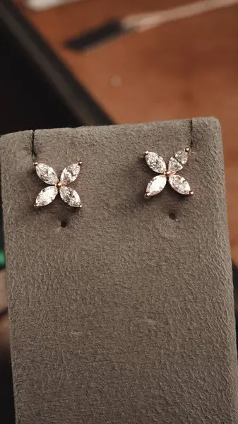 Akşam Şenliği İçin Parlayan Altın ve Elmas Mücevherler