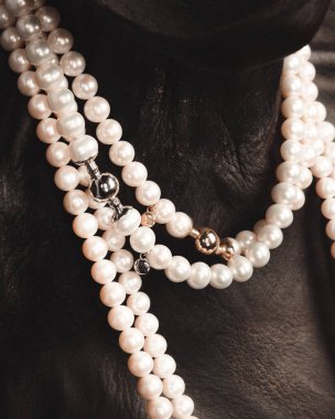 Şık ve Zarif Altın Elmas Mücevherler