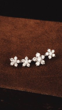 Kaliteli Mücevherler: Altın ve Elmas Hazineleri