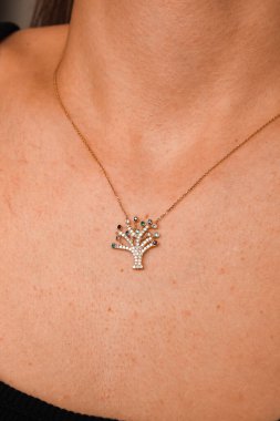 Parlak Elmas Kolyeler ve Altın Mücevherler