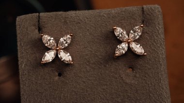 Akşam Şenliği İçin Parlayan Altın ve Elmas Mücevherler