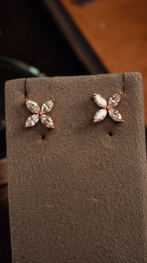 Akşam Şenliği İçin Parlayan Altın ve Elmas Mücevherler