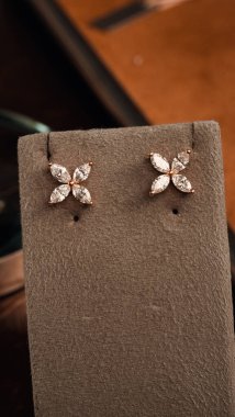 Akşam Şenliği İçin Parlayan Altın ve Elmas Mücevherler