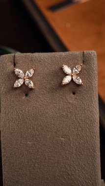 Akşam Şenliği İçin Parlayan Altın ve Elmas Mücevherler