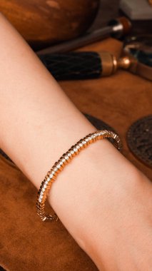 Zarif mücevherler, değerli taşlar takılmış mücevherler.. 