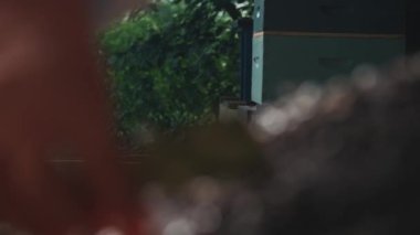 Arı kovanı gibi giyinmiş bir arı yetiştiricisi tarafından yapılan bal arısı teftişi.