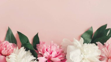 Pastel pembe arka planda pembe ve beyaz şakayıklar.