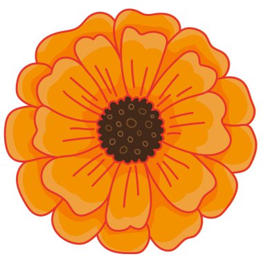 Cinco de mayonez için parlak izole çiçek vektör çizimi ya da ölü Meksika bayramı hatıra ve hatıra sembolü, canlı turuncu çiçek.