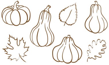 Sonbahar hasat taslağı çizimleri sonbahar balkabakları vektör seti ve dekoratif tasarımlar için basit mevsimsel grafik elementler bırakır