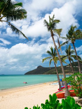 Hamilton Adası 'ndaki Catseye Sahili boyunca WhitSunday, Queensland Avustralya