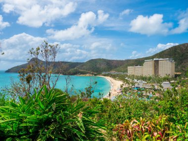 Hamilton Adası 'ndaki Catseye Sahili boyunca WhitSunday, Queensland Avustralya