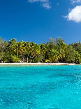 Bora Bora 'daki güzel plaj