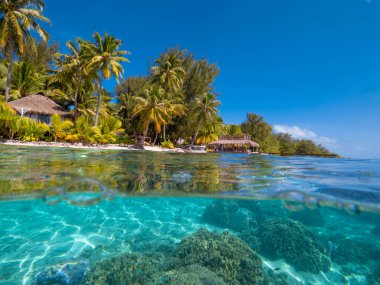 Under over photo of crystal clear waters and beachfront bungalows with palm trees in Bora Bora clipart